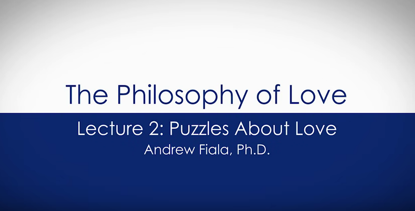 Philosophy of Love: Puzzles About Love