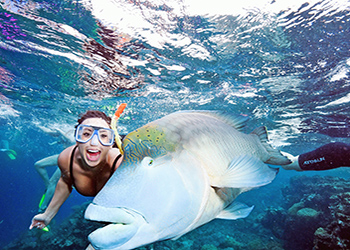 Person Swimming with Fish