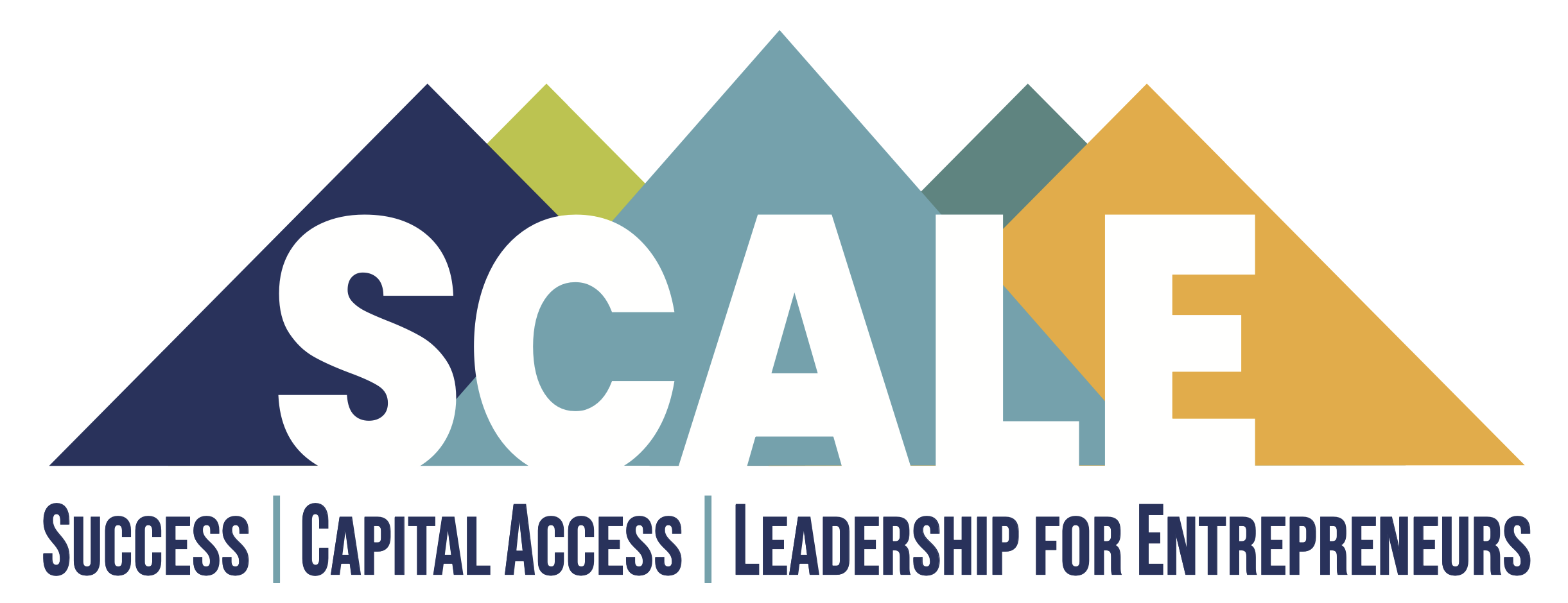 scale logo