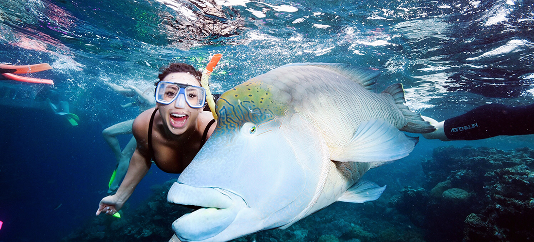 Girl with fish