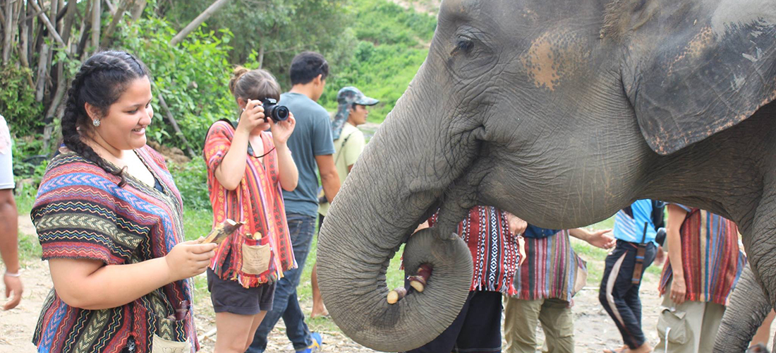 girl with elephant